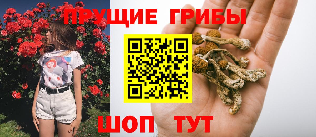 Галлюциногенные грибы мицелий Майкоп