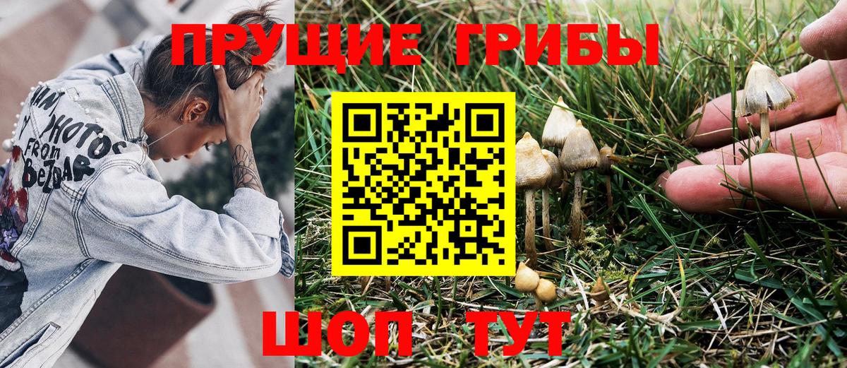 Майкоп  Псилоцибиновые грибы мицелий  Вход с VPN 